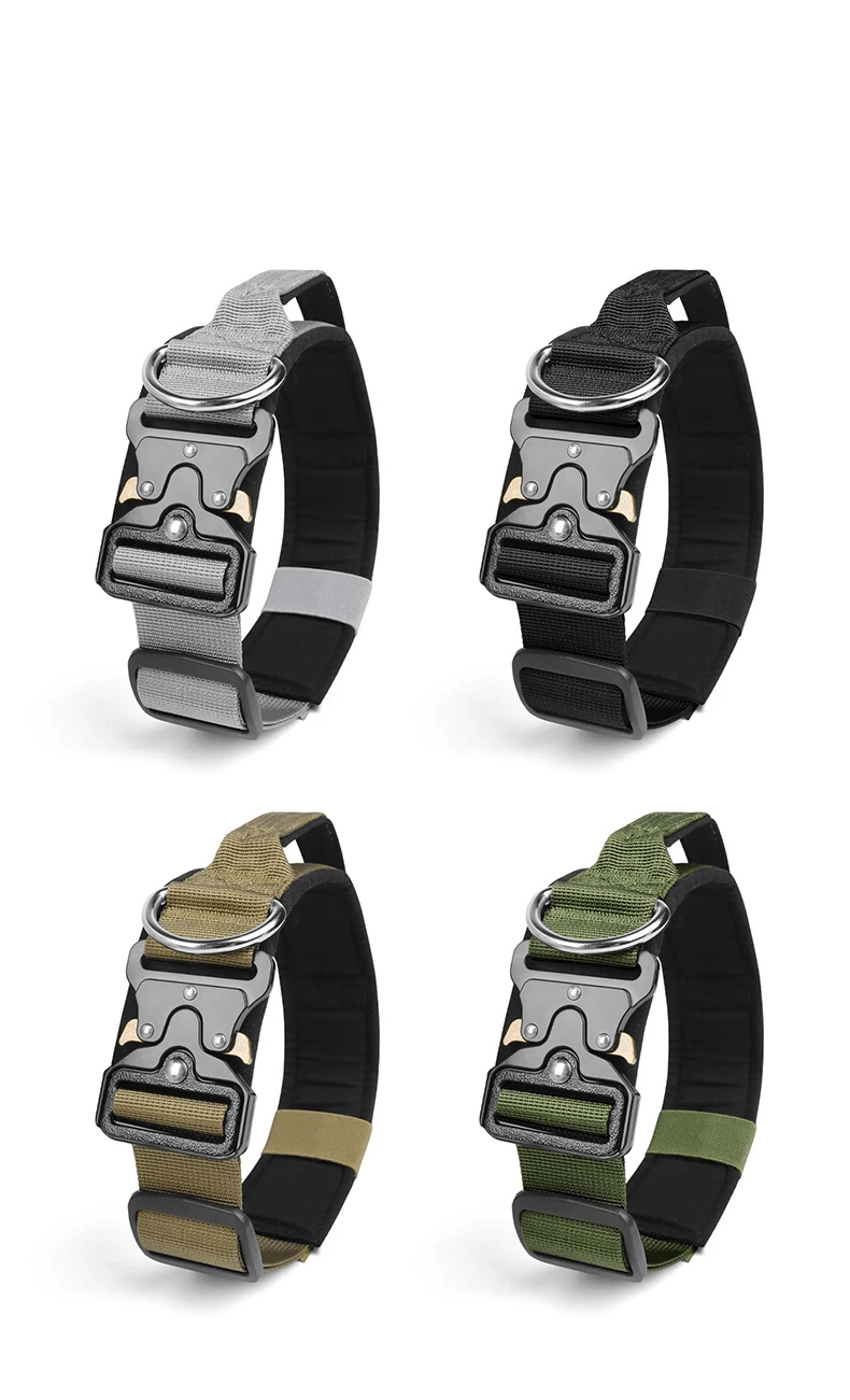 Ridge Hound Heavy Duty Dog Collar with Secure Buckle