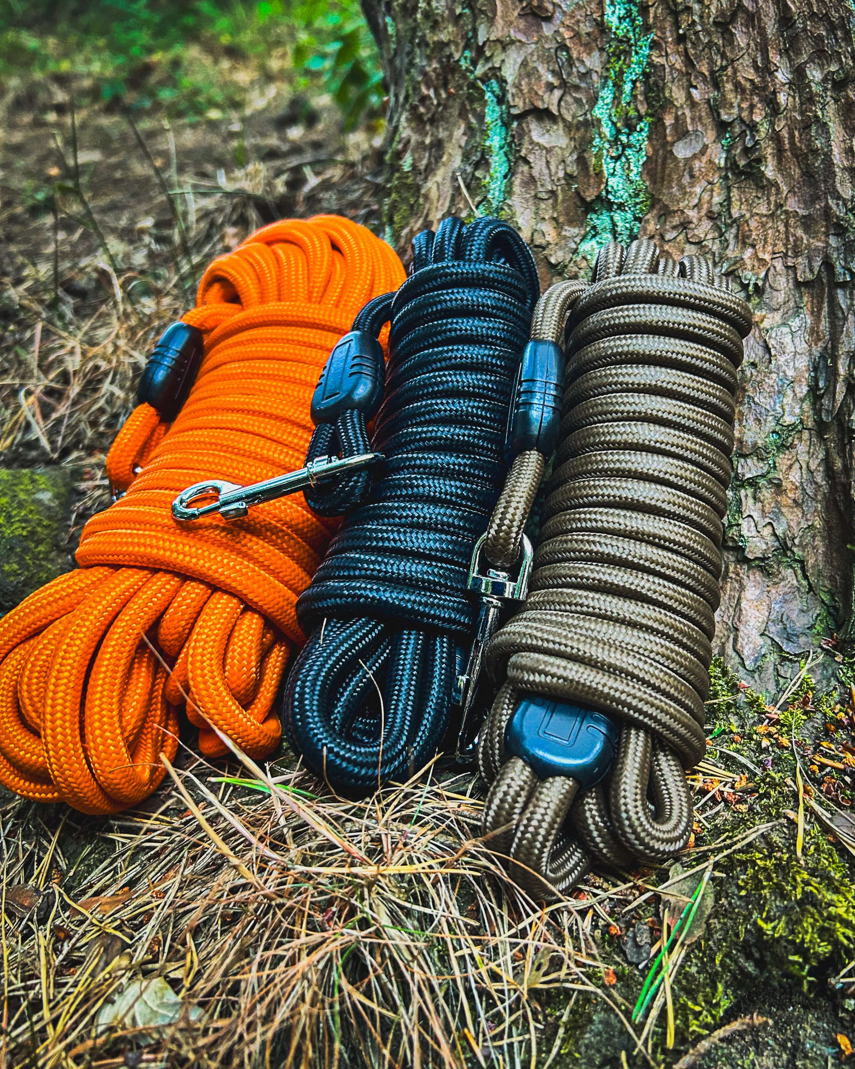 Ridge Hound Reinforced Training Lead
