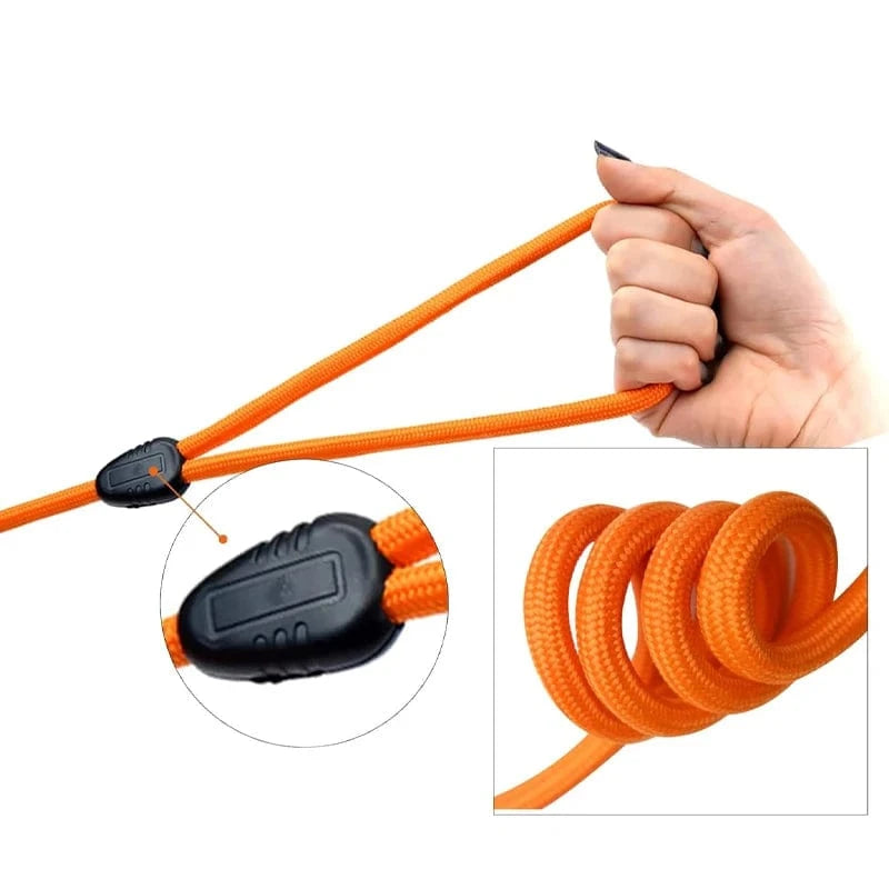 Ridge Hound Reinforced Training Lead with Traffic Control Loop