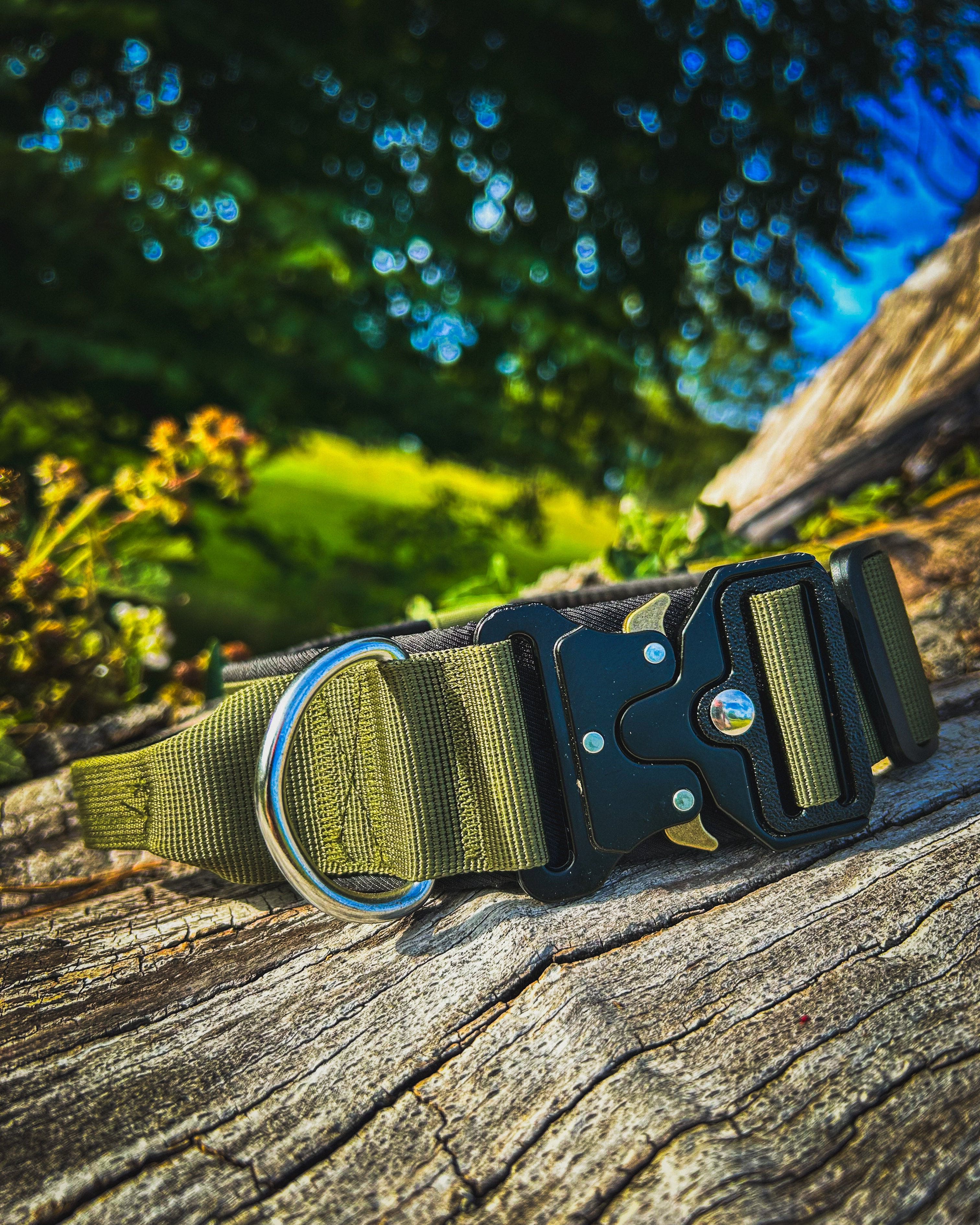 Ridge Hound Heavy Duty Dog Collar with Secure Buckle