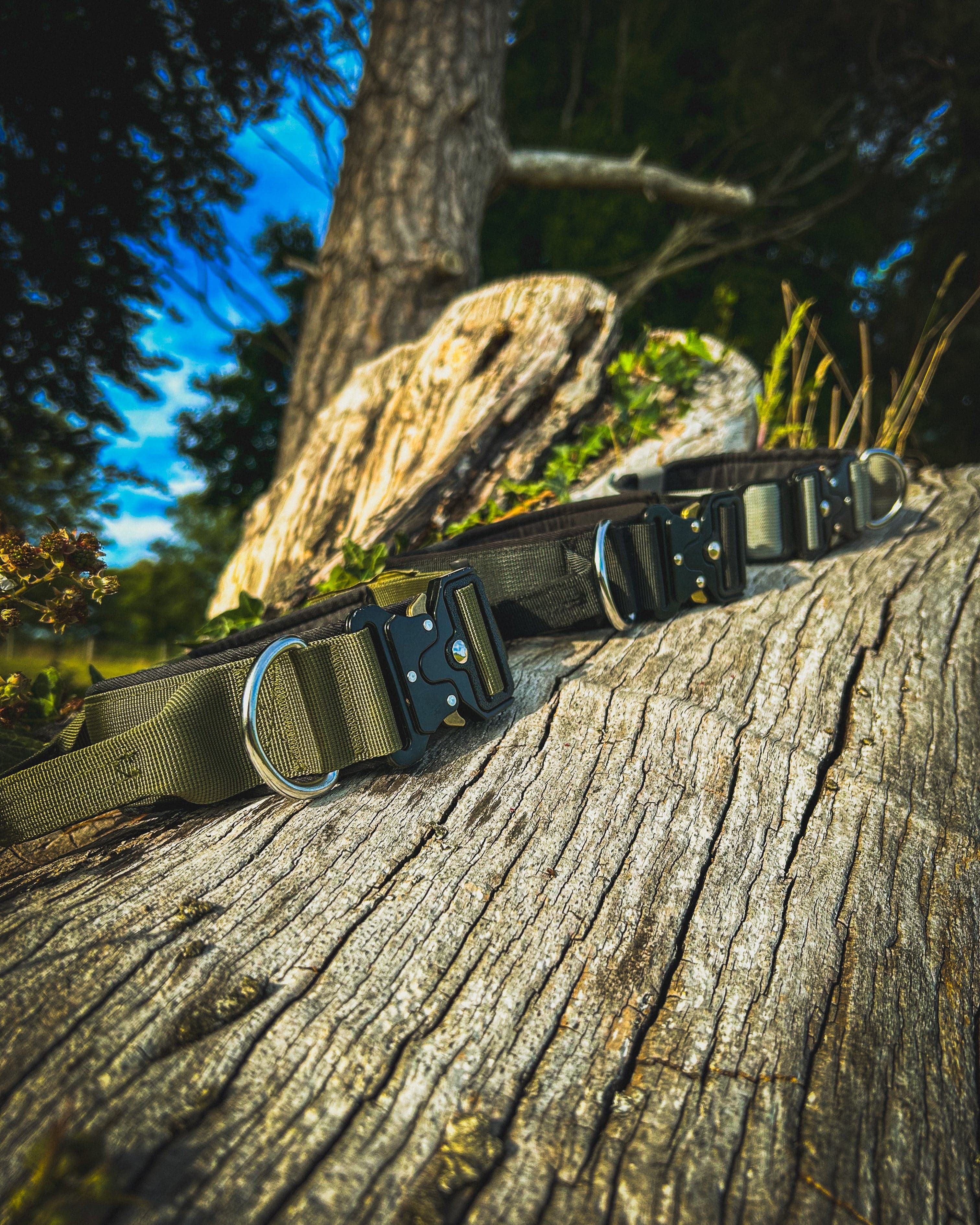Ridge Hound Heavy Duty Dog Collar with Secure Buckle