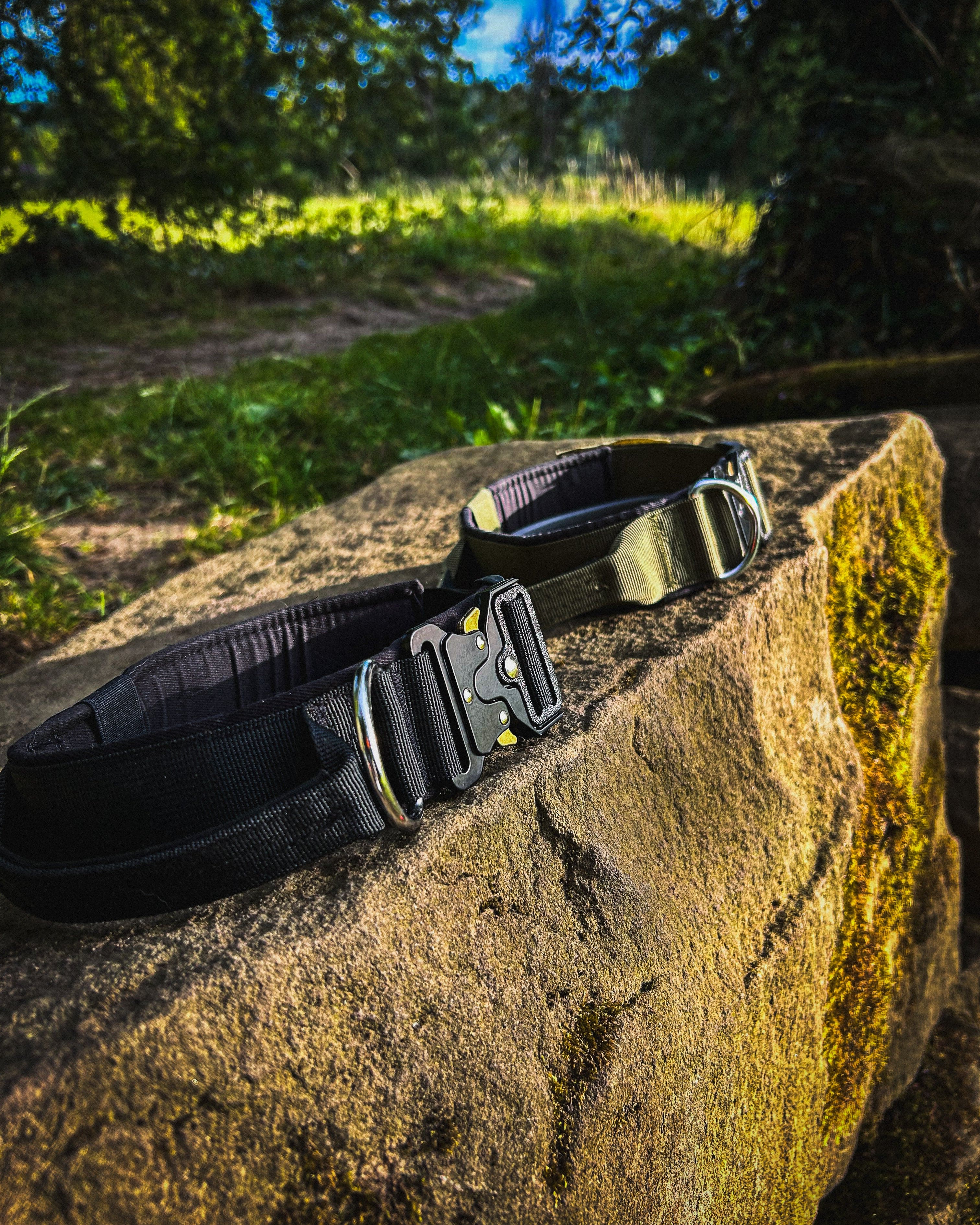 Ridge Hound Heavy Duty Dog Collar with Secure Buckle