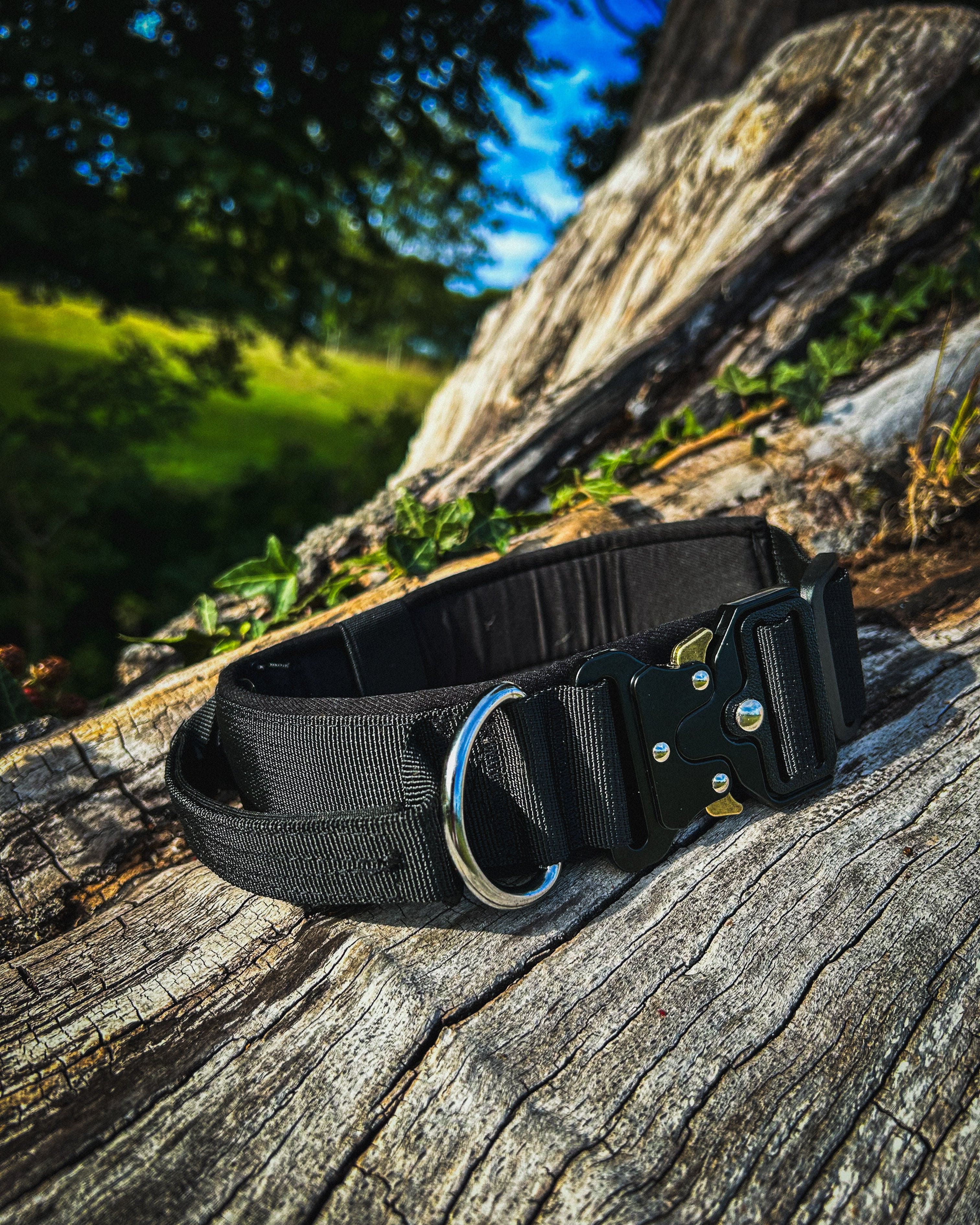 Ridge Hound Heavy Duty Dog Collar with Secure Buckle