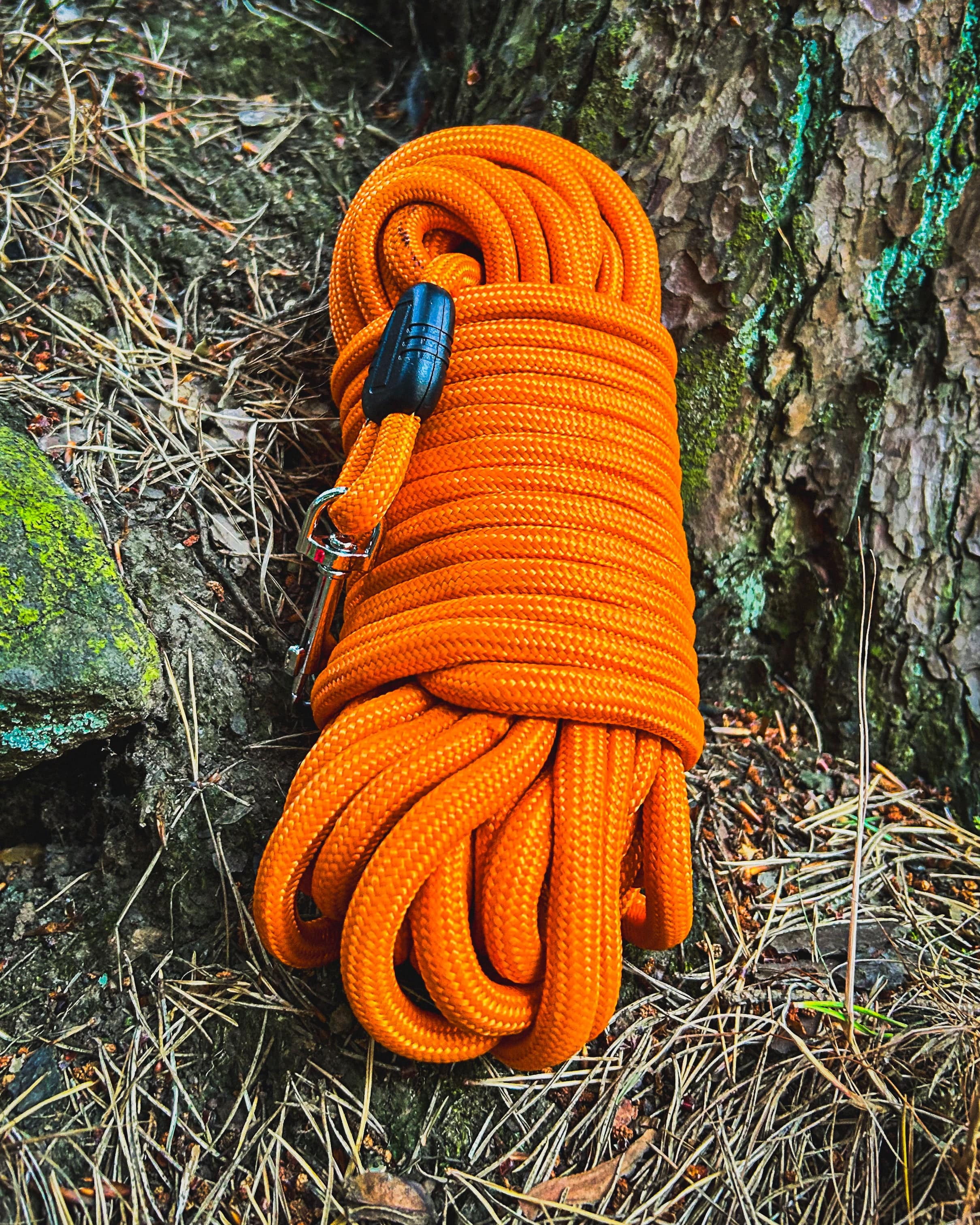 Ridge Hound Reinforced Training Lead
