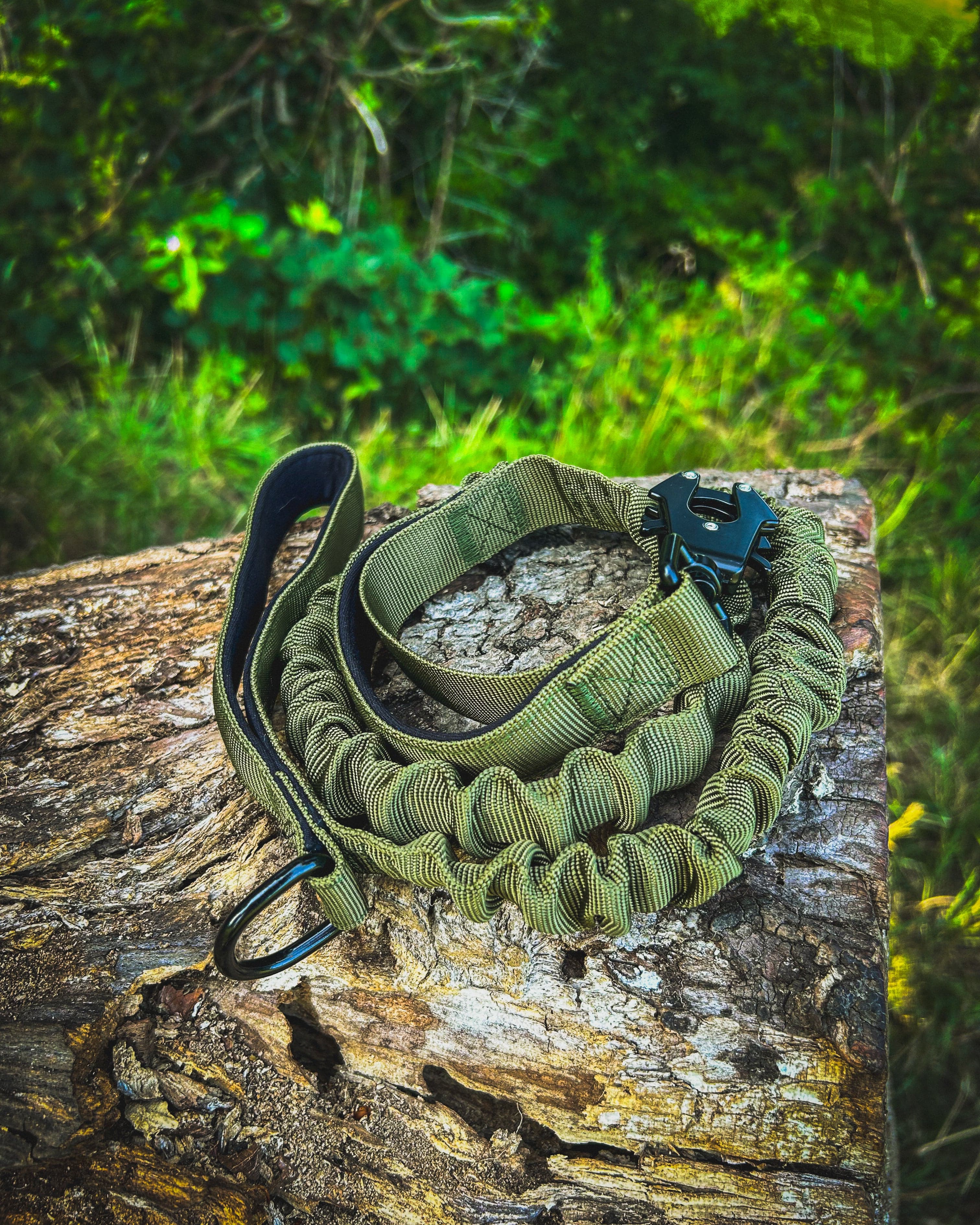 Ridge Hound Shock Absorbing Dog Lead