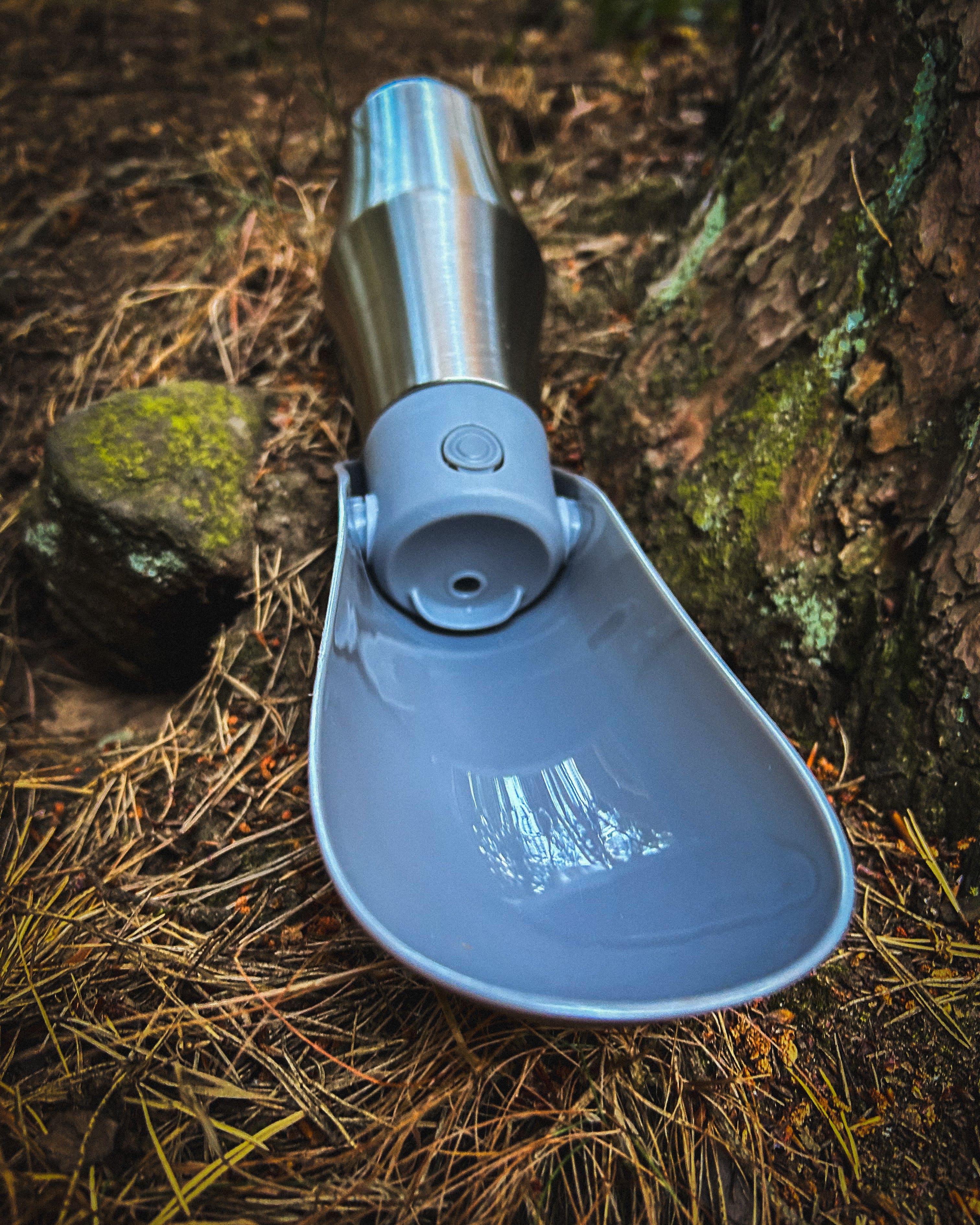 Ridge Hound Stainless Steel Dog Water Bottle