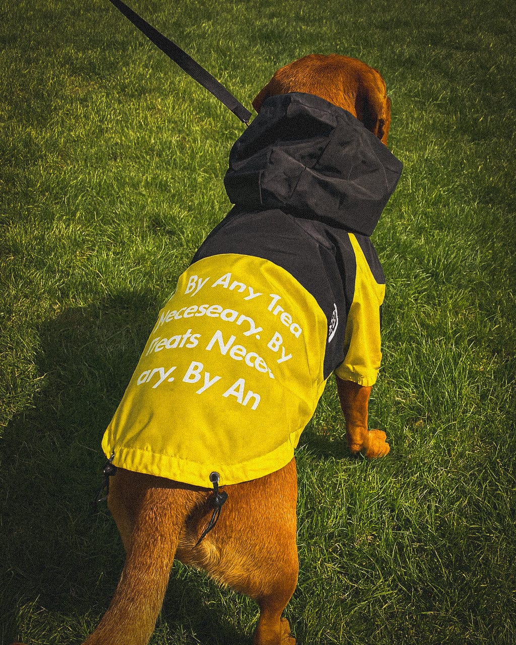 Ridge Hound The Raincoat